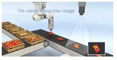 机器人视觉系统